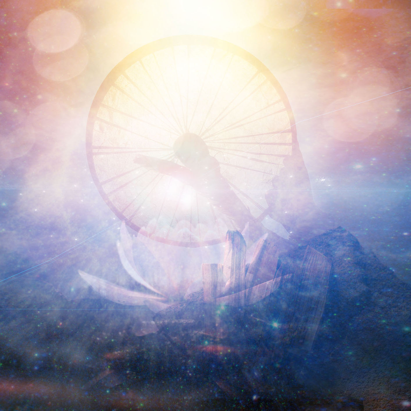 lotus flower in water with sunshine