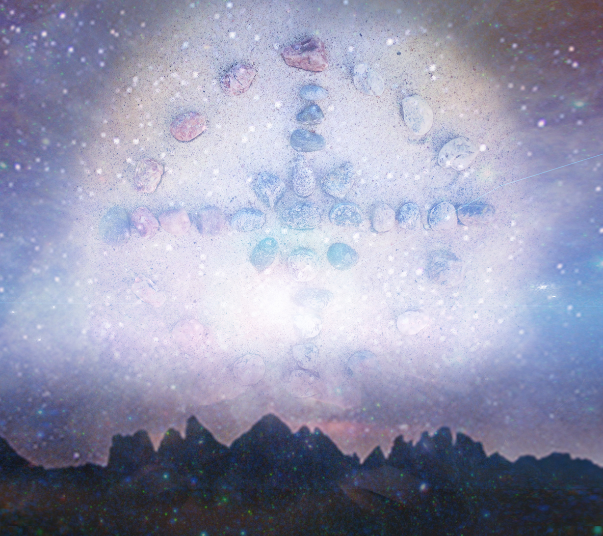 lotus flower in water with sunshine